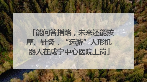 能问答指路，未来还能按摩、针灸，“远游”人形机器人在咸宁中心医院上岗