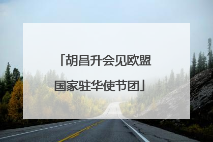 胡昌升会见欧盟国家驻华使节团