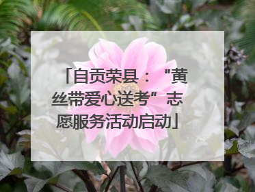 自贡荣县：“黄丝带爱心送考”志愿服务活动启动