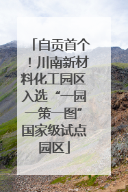 自贡首个！川南新材料化工园区入选“一园一策一图”国家级试点园区