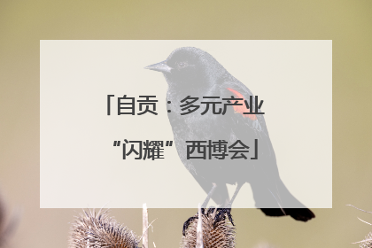 自贡：多元产业“闪耀”西博会
