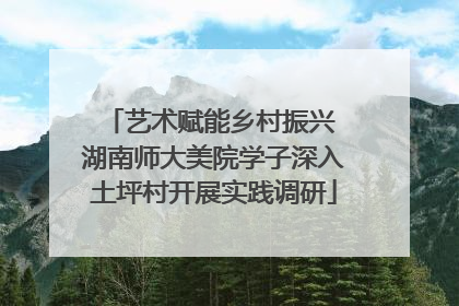 艺术赋能乡村振兴 湖南师大美院学子深入土坪村开展实践调研