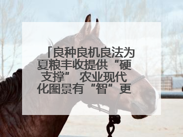良种良机良法为夏粮丰收提供“硬支撑” 农业现代化图景有“智”更有“质”