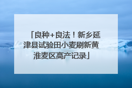 良种+良法！新乡延津县试验田小麦刷新黄淮麦区高产记录