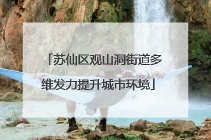 苏仙区观山洞街道多维发力提升城市环境