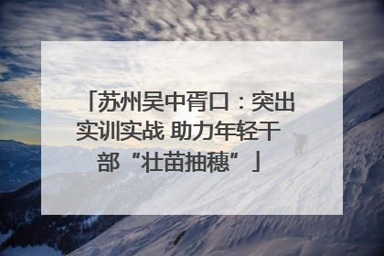苏州吴中胥口：突出实训实战 助力年轻干部“壮苗抽穗”