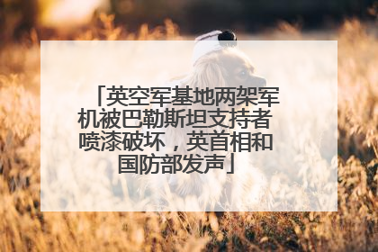英空军基地两架军机被巴勒斯坦支持者喷漆破坏，英首相和国防部发声