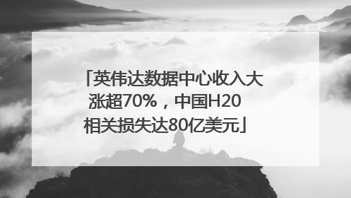 英伟达数据中心收入大涨超70%，中国H20相关损失达80亿美元