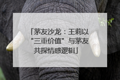 茅友沙龙：王莉以“三重价值”与茅友共探情感逻辑