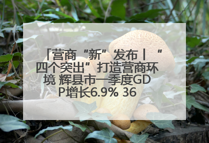 营商“新”发布丨“四个突出”打造营商环境 辉县市一季度GDP增长6.9% 36个重点项目落地