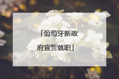 葡萄牙新政府宣誓就职