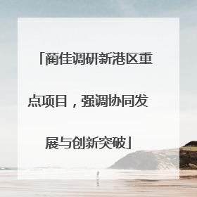 蔺佳调研新港区重点项目，强调协同发展与创新突破