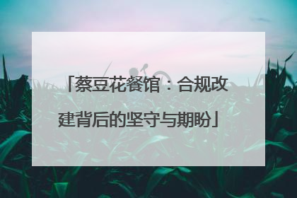 蔡豆花餐馆：合规改建背后的坚守与期盼