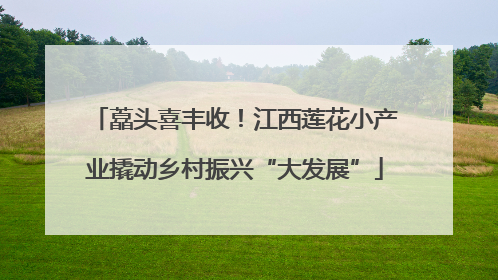 藠头喜丰收！江西莲花小产业撬动乡村振兴“大发展”