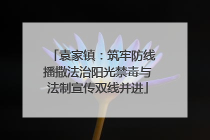 袁家镇：筑牢防线播撒法治阳光禁毒与法制宣传双线并进