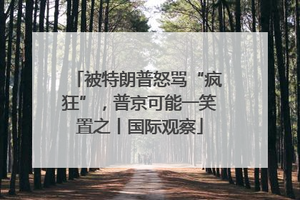被特朗普怒骂“疯狂”，普京可能一笑置之丨国际观察