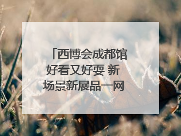 西博会成都馆好看又好耍 新场景新展品一网打尽“成都智造”｜西博视界