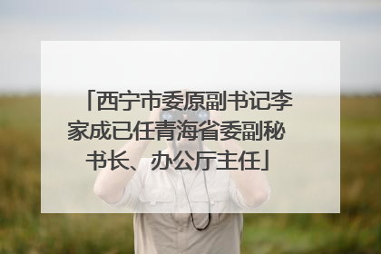 西宁市委原副书记李家成已任青海省委副秘书长、办公厅主任