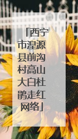 西宁市湟源县前沟村高山大白杜鹃走红网络