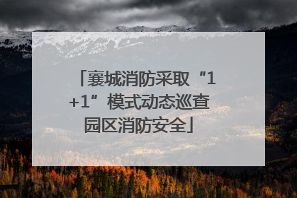 襄城消防采取“1+1”模式动态巡查园区消防安全