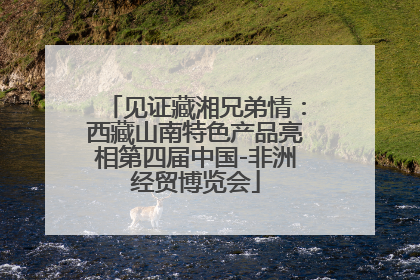 见证藏湘兄弟情：西藏山南特色产品亮相第四届中国-非洲经贸博览会