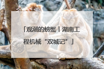 观潮的螃蟹丨湖南工程机械“双城记”