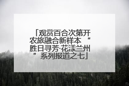 观赏百合次第开 农旅融合新样本 “胜日寻芳·花漾兰州”系列报道之七