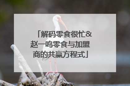 解码零食很忙&赵一鸣零食与加盟商的共赢方程式
