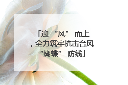 迎 “风” 而上，全力筑牢抗击台风 “蝴蝶” 防线