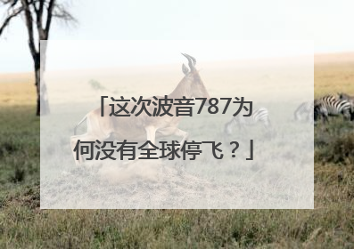 这次波音787为何没有全球停飞？