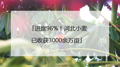 进度96%！河北小麦已收获3000余万亩