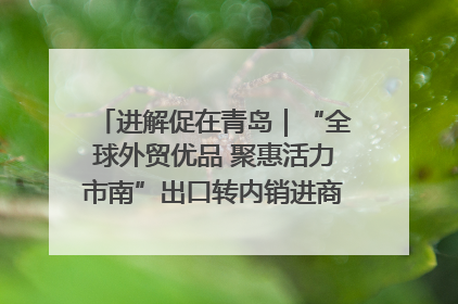 进解促在青岛｜“全球外贸优品 聚惠活力市南”出口转内销进商超专场活动启动