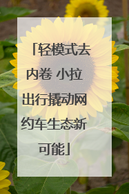 轻模式去内卷 小拉出行撬动网约车生态新可能