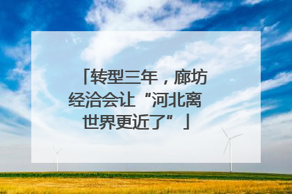 转型三年，廊坊经洽会让“河北离世界更近了”
