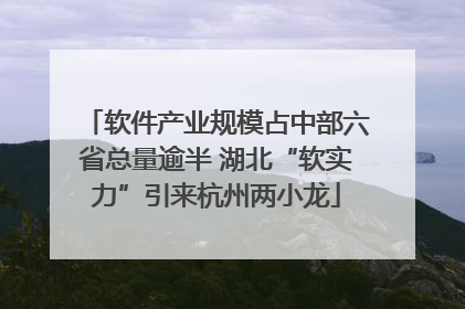 软件产业规模占中部六省总量逾半 湖北“软实力”引来杭州两小龙
