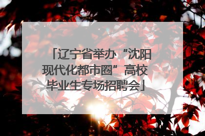辽宁省举办“沈阳现代化都市圈”高校毕业生专场招聘会