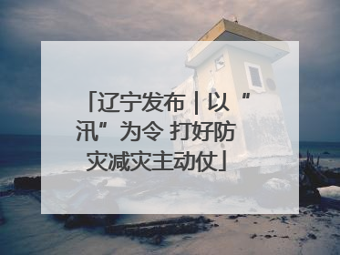 辽宁发布｜以“汛”为令 打好防灾减灾主动仗