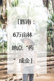 辉南：6万亩林地点“药”成金