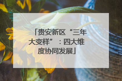 贵安新区“三年大变样”：四大维度协同发展