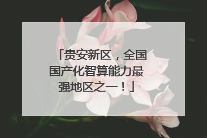 贵安新区，全国国产化智算能力最强地区之一！