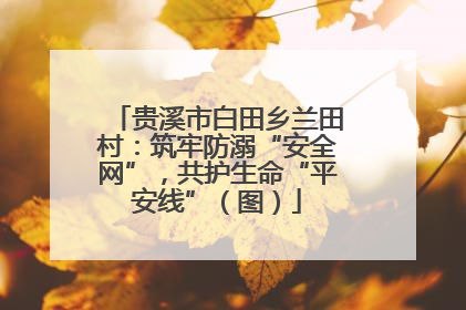 贵溪市白田乡兰田村：筑牢防溺“安全网”，共护生命“平安线”（图）