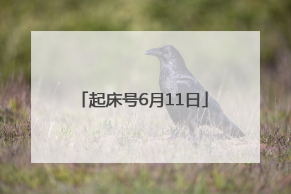 起床号6月11日