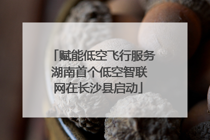 赋能低空飞行服务 湖南首个低空智联网在长沙县启动