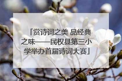 赏诗词之美 品经典之味——民权县第三小学举办首届诗词大赛