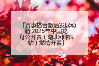 赛事搭台激活发展动能 2025年中国龙舟公开赛（湖北•仙桃站）燃情开赛