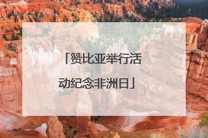 赞比亚举行活动纪念非洲日