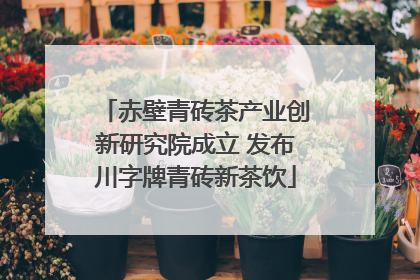 赤壁青砖茶产业创新研究院成立 发布川字牌青砖新茶饮