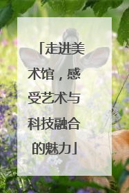 走进美术馆，感受艺术与科技融合的魅力