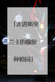 走进斯里兰卡的橡胶种植园