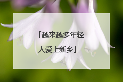 越来越多年轻人爱上新乡